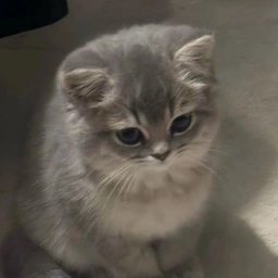 Аватар канала «Мод на тикток»