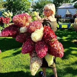 Аватар канала «МОЯ ГОРТЕНЗИЯ»