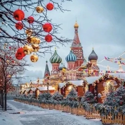 Аватар канала «Москва 24/7 | Новости, происшествия, ЧП Москвы | метро ДТП пробки»