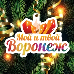 Аватар канала «Мой и твой Воронеж»