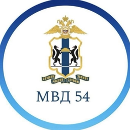 Аватар канала «Полиция54»