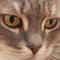 Аватар канала «Бывалый Обыватель»