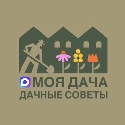 Аватар канала «Моя дача | Дачные советы»