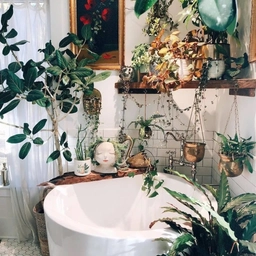 Аватар канала «Домашние джунгли»