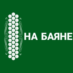 Аватар канала «НА БАЯНЕ»