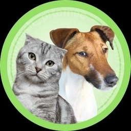 Аватар канала «Наши питомцы | Собаки | Кошки»