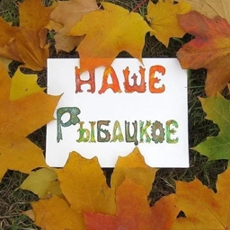 Аватар канала «Рыбацкое - Невский район»