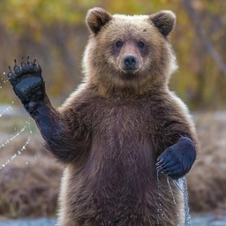 Аватар канала «КРАСИВЫЕ КАДРЫ»