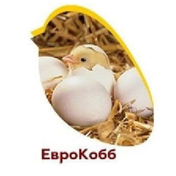 Аватар канала «Инкубационное яйцо EuroCobb-PROMEGGS INFO CANAL»