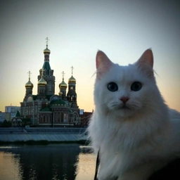 Аватар канала «НОВОСТИ ЙОШКАР-ОЛА МАРИЙ ЭЛ»