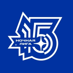 Аватар канала «Ночная хоккейная лига»