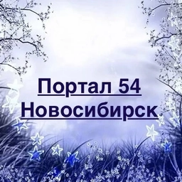 Аватар канала «Портал 54 — Новости Новосибирска»