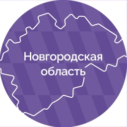 Аватар канала «Правительство Новгородской области»