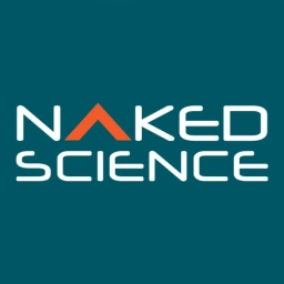 Аватар канала «Naked Science»