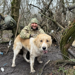 Аватар канала «Иван Утенков | Новости🇷🇺»