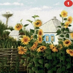 Аватар канала «Огород и дача - большая удача!»