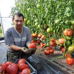 Аватар канала «Огород - сад Медведевых»