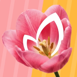 Аватар канала «ОКЕЙ»