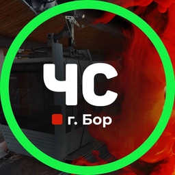 Аватар канала «Городское сообщество «Черный список г. Бор»»