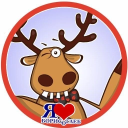 Аватар канала «Подслушано Борисоглебский ЯрОбл»