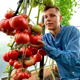 Аватар канала «Помидорный рай с Борисом Сониным»