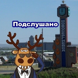 Аватар канала «Подслушано Новосергиевка»