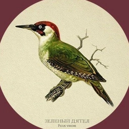 Аватар канала «Ресторан Зелёный дятел»