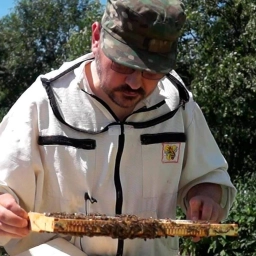 Аватар канала «Пчеловедение»