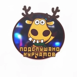 Аватар канала «Подслушано Курчатов»