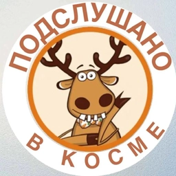 Аватар канала «КОСМА ПОДСЛУШАНО мкр. А. Космодемьянского»