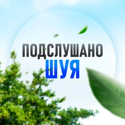 Аватар канала «Подслушано Шуя»