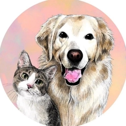 Аватар канала «Хвостики 🐶 В мире животных : Кошки собаки попугаи обезьяны домашние животные хомяки еноты птицы рыбы лисы копибары кролики крысы еноты совы лошади ежики зверюшки малыши пушистики породистые кошки»