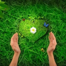 Аватар канала «Здоровье от природы - Травы лечебные, Фитотерапия, лекарственные растения, ЗОЖ»