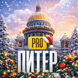 Аватар канала «PRO Питер - новости Санкт-Петербурга»