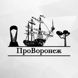 Аватар канала «Про Воронеж (Новости Воронежа и области)»