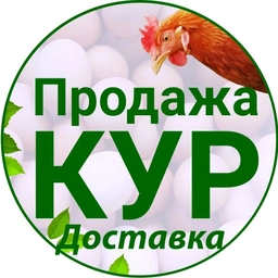 Аватар канала «Продажа и доставка Кур-несушек | Куры76.рф»