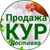 Аватар канала «Продажа и доставка Кур-несушек | Куры76.рф»