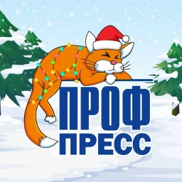 Аватар канала «Издательство «Проф-Пресс»»