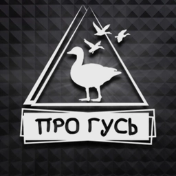 Аватар канала «ПроГусь-профессиональная охота на гуся»