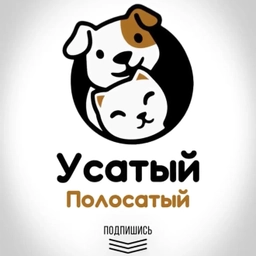 Аватар канала «Усатый Полосатый | собаки | кошки | животные | юмор | приколы»