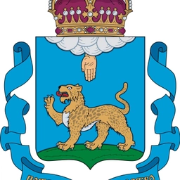 Аватар канала «Псковская сводка»