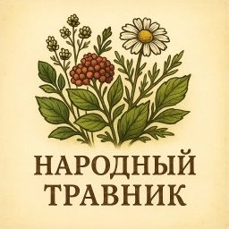 Аватар канала «Народный травник 🌿»