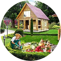 Аватар канала «Моя Дача | Сад и Огород»