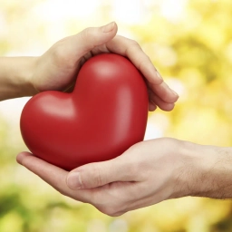 Аватар канала «ВСЕ О ЗДОРОВЬЕ | Рецепты | Хитрости | Советы»