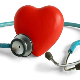 Аватар канала «ЗНАХАРЬ»