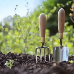 Аватар канала «Дачница»