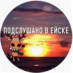 Аватар канала «Подслушано в Ейске»