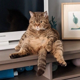 Аватар канала «Не Копенгаген»