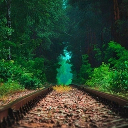 Аватар группы «"ЧАТ"💭»