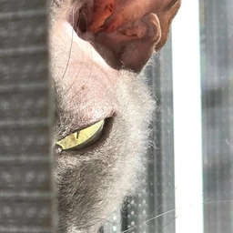 Аватар канала «Радио Лекух»